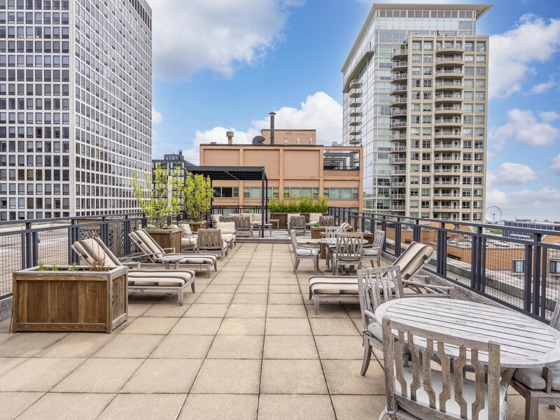 850 N Dewitt Place Chicago IL 60611