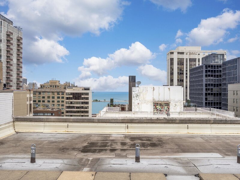 850 N Dewitt Place Chicago IL 60611