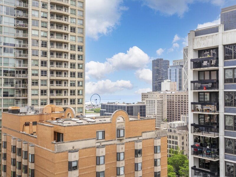 850 N Dewitt Place Chicago IL 60611