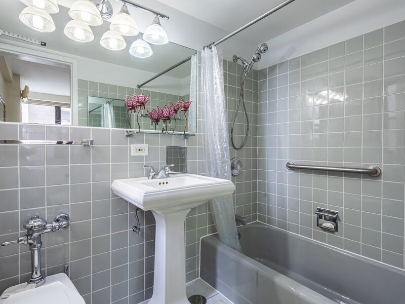 850 N Dewitt Place Chicago IL 60611