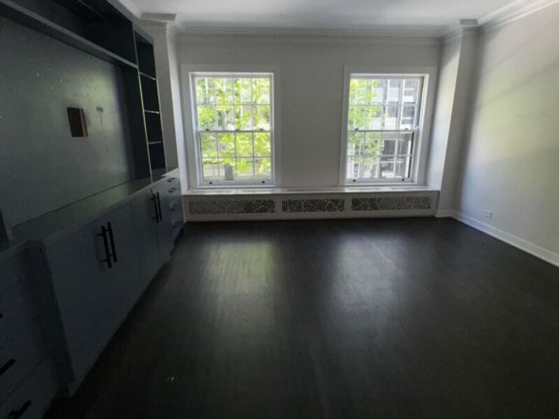 257 E Delaware Place Chicago IL 60611