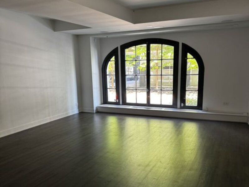 257 E Delaware Place Chicago IL 60611