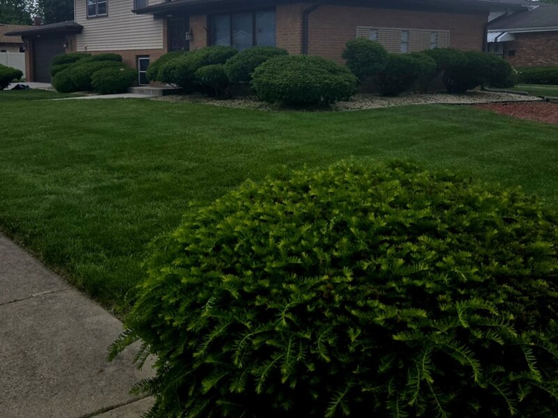 15643 Gouwens Lane South Holland IL 60473