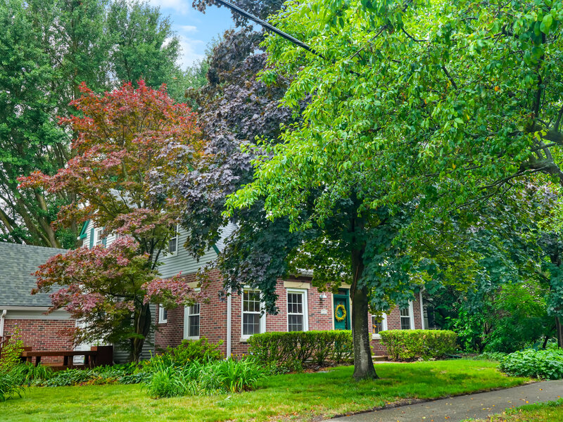 1009 W Green Street Champaign IL 61821