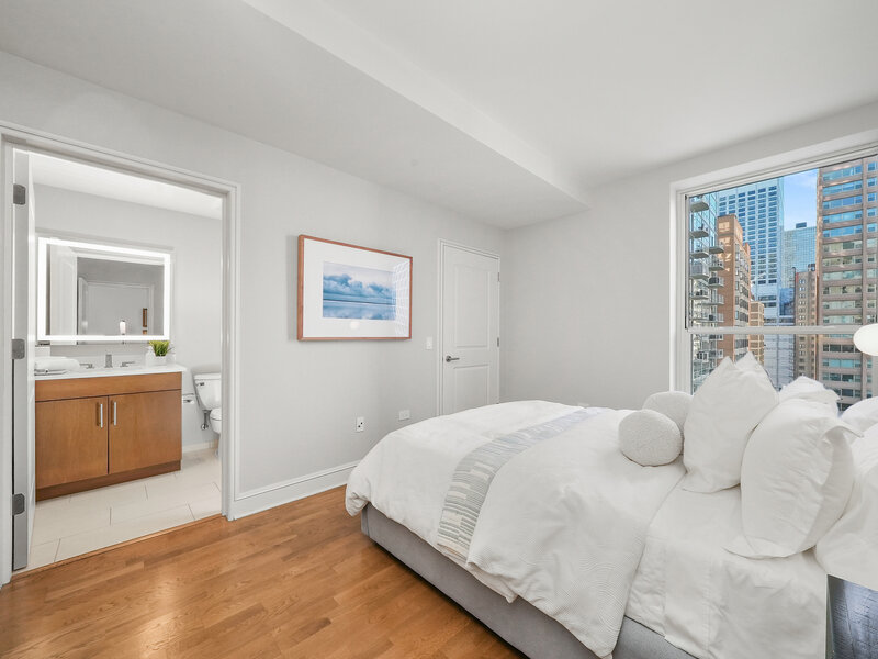 850 N Lake Shore Drive Chicago IL 60611