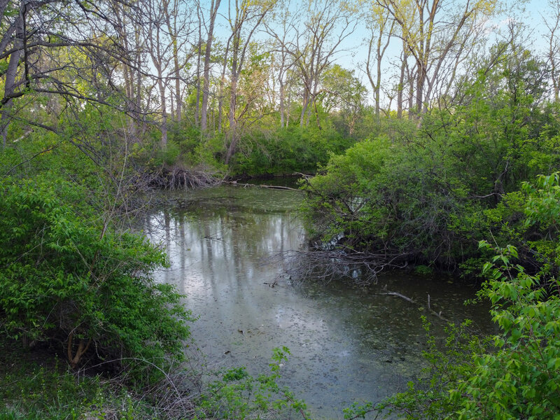 6414 Vermont Trail Crystal Lake IL 60012