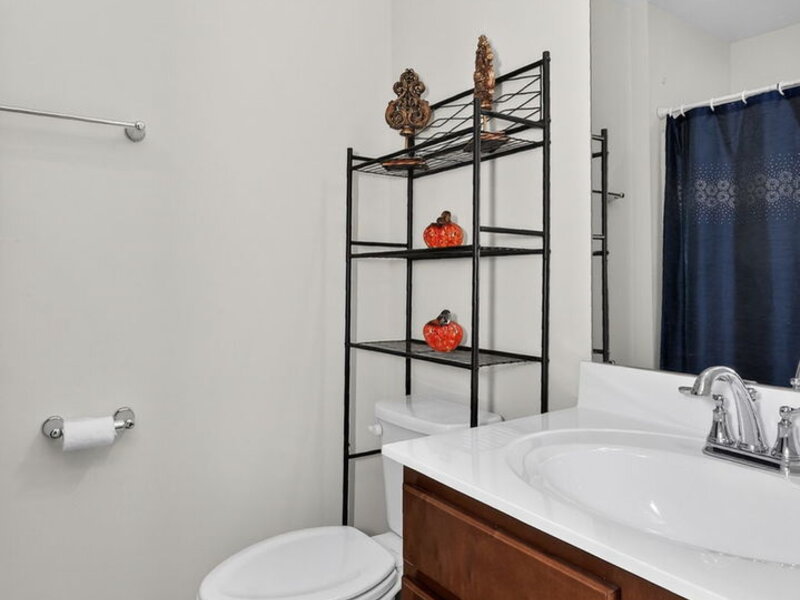 3352 Helene Reider Drive Montgomery IL 60538