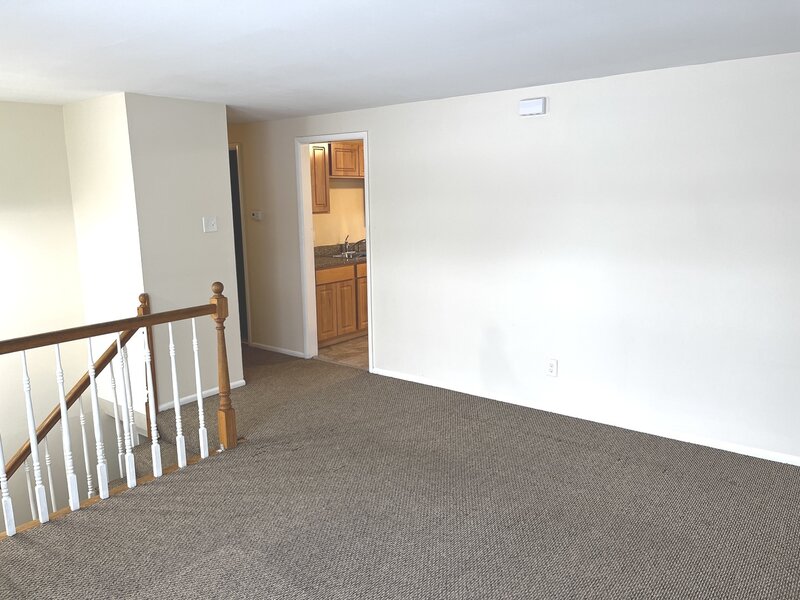 335 E Mulberry Drive Glenwood IL 60425