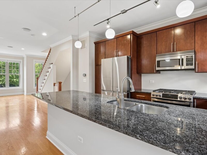 3006 W Newport Avenue Chicago IL 60618