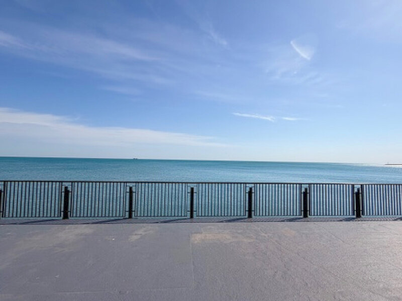7337 S South Shore Drive Chicago IL 60649