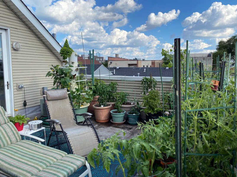 718 N Willard Court Chicago IL 60642