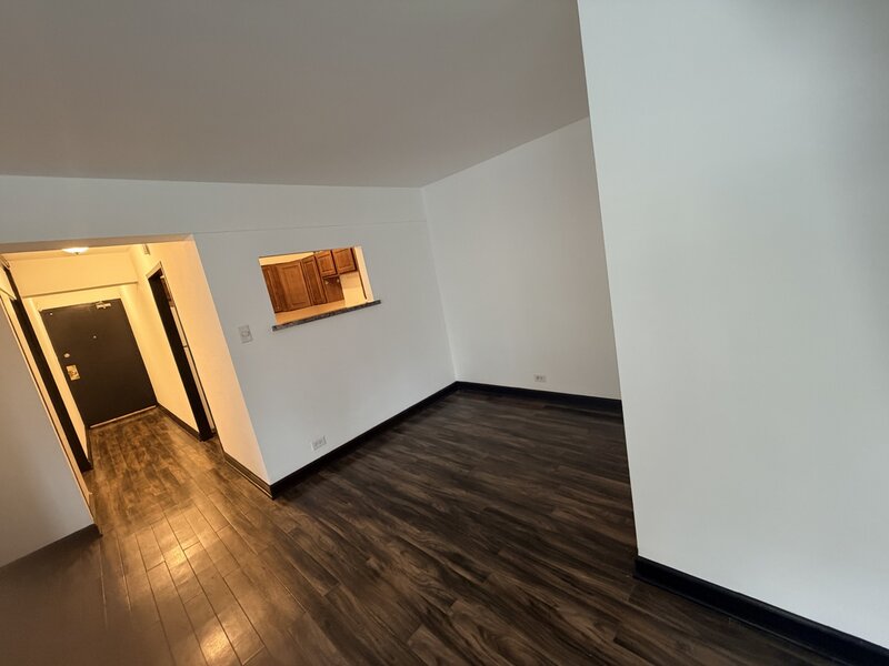 7337 S South Shore Drive Chicago IL 60649