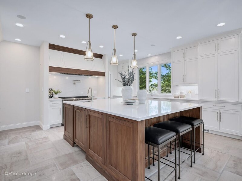 20 Natoma Drive Oak Brook IL 60523