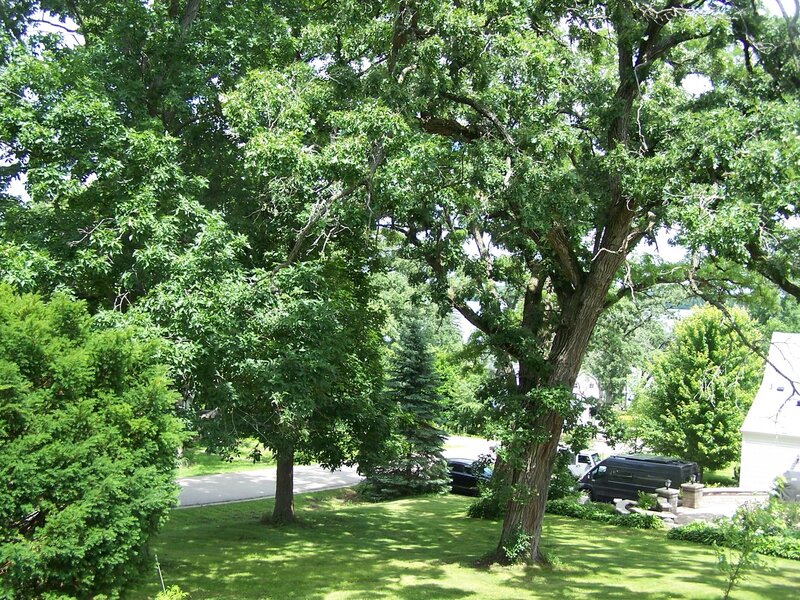 3212 Pleasant Drive Wonder Lake IL 60097