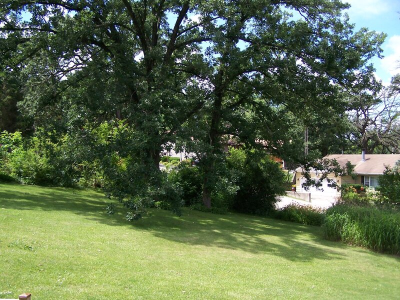 3212 Pleasant Drive Wonder Lake IL 60097