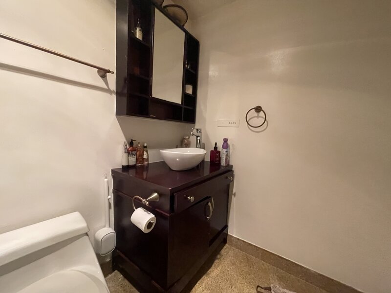 175 E Delaware Place Chicago IL 60611