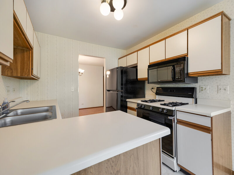 201 Charleston Court Schaumburg IL 60193