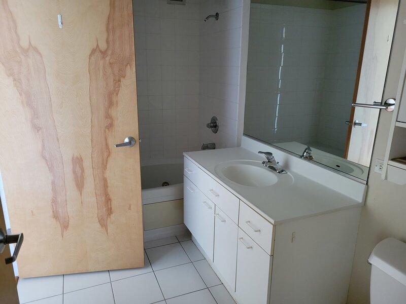 1845 S Michigan Avenue Chicago IL 60616