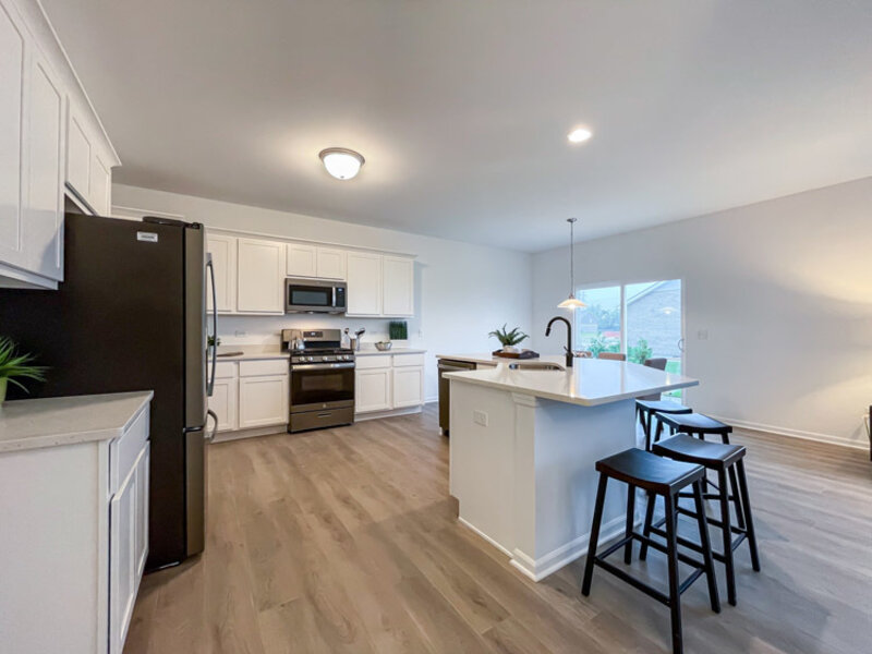 1595 Glenbrooke Lane New Lenox IL 60451