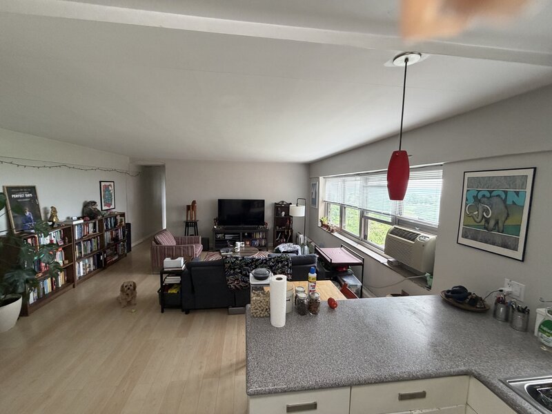 4980 N Marine Drive Chicago IL 60640