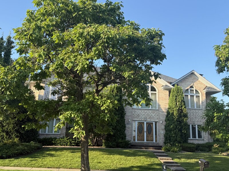 1004 Saddle Lane Lemont IL 60439