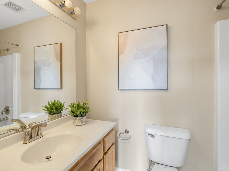 896 Cherry Creek Drive Grayslake IL 60030