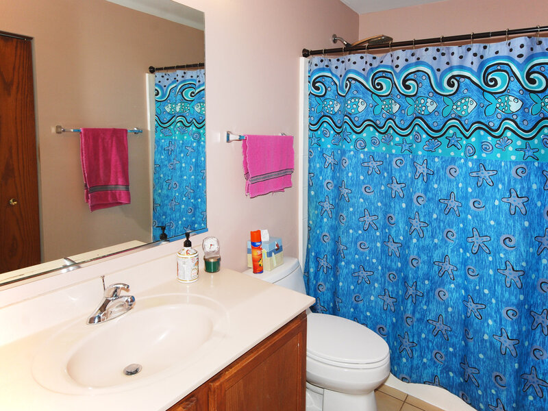 383 Shadow Creek Drive Vernon Hills IL 60061