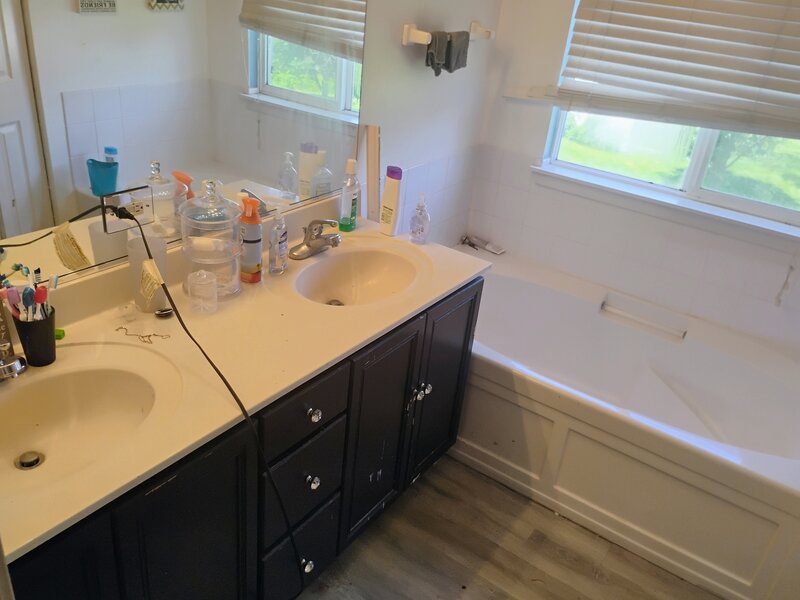 1503 S Elizabeth Lane Round Lake IL 60073