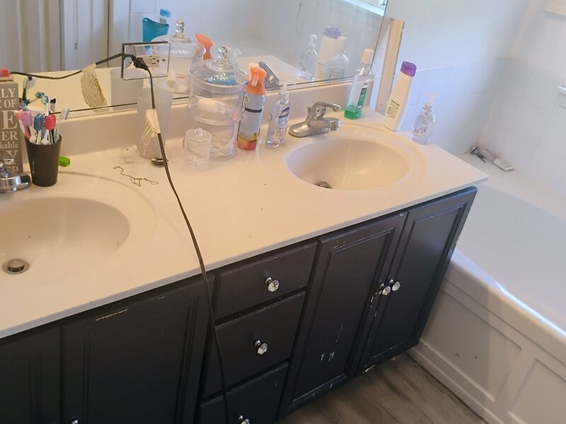 1503 S Elizabeth Lane Round Lake IL 60073