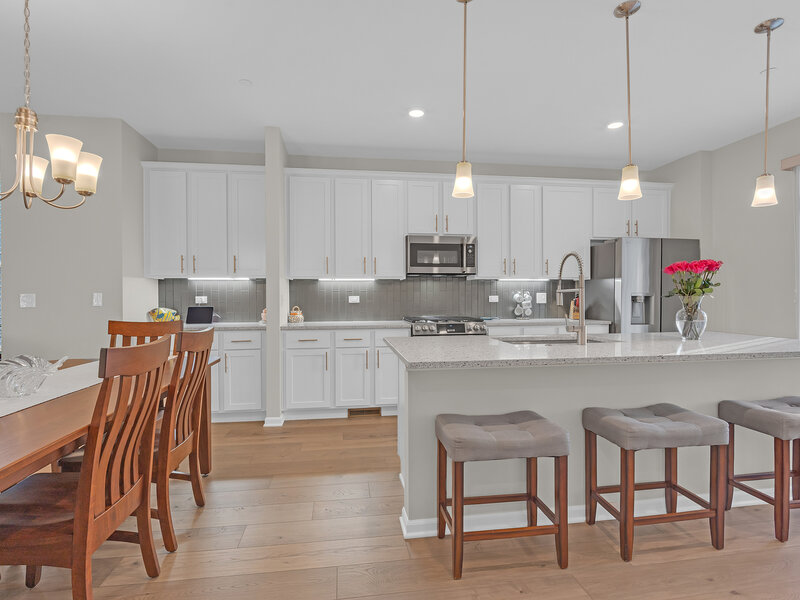1546 Slade Way Des Plaines IL 60018