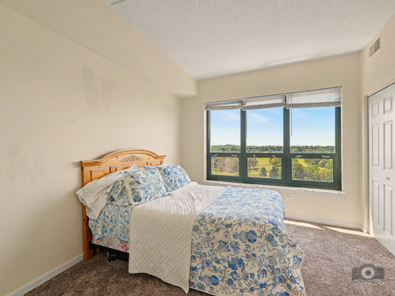 6420 Double Eagle Drive Woodridge IL 60517
