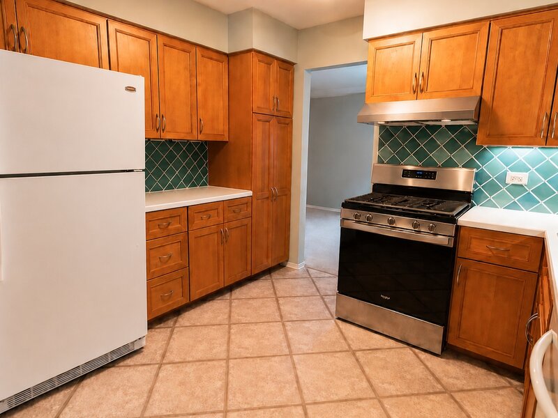 633 E 8th Avenue Naperville IL 60563