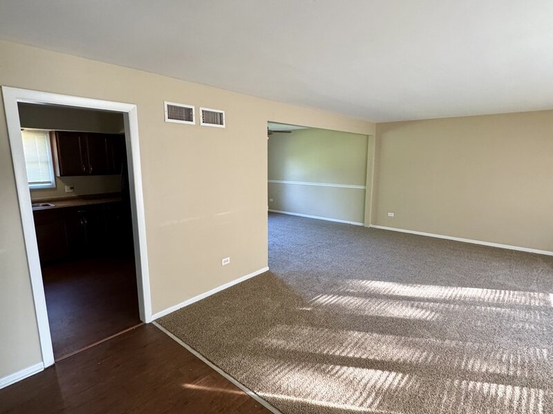 22421 Arquilla Drive Richton Park IL 60471