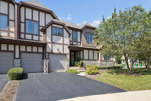 Photo of 12721 Wild Rye Court Plainfield IL 60585