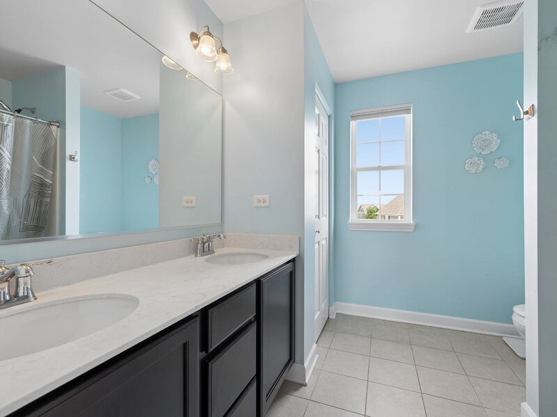 13824 Amelia Drive Lemont IL 60439