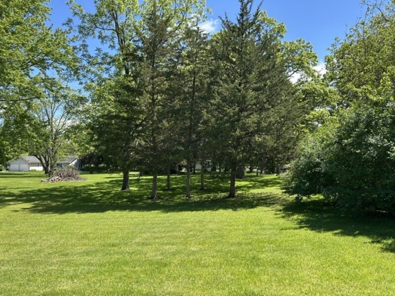 33709 S West River Road Wilmington IL 60481