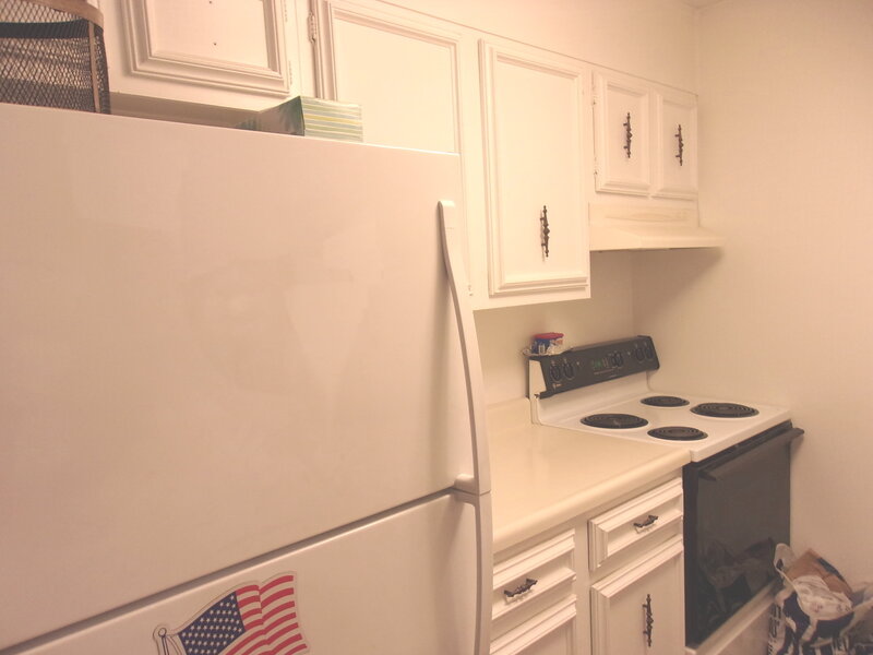 7415 Chevy Chase Court Fox Lake IL 60020