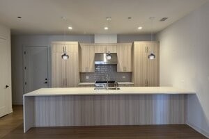 Photo of 1356 W Chestnut Street Chicago IL 60642 Unit 203