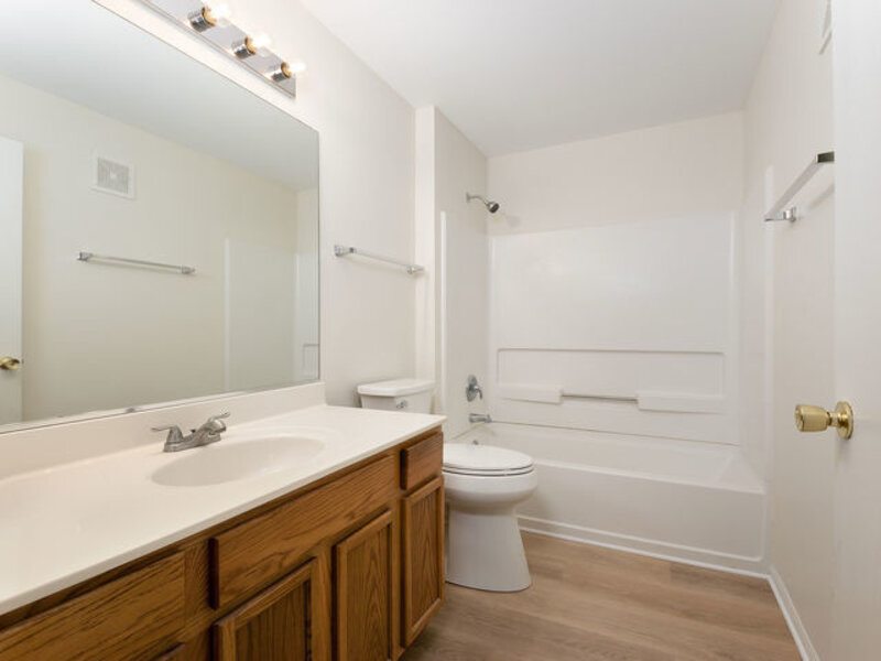 1309 Silverstone Drive Carpentersville IL 60110