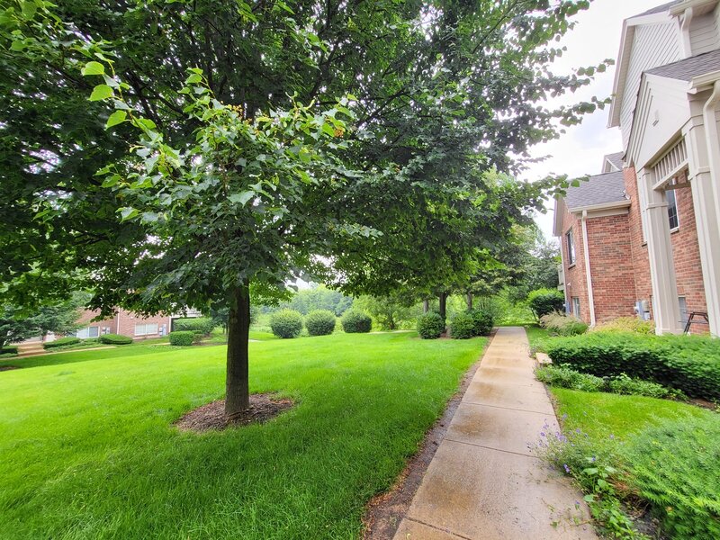 3348 Cameron Drive Elgin IL 60124