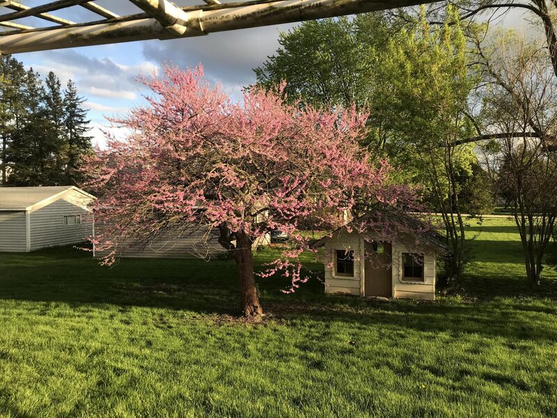 23565 W Margate Terrace Antioch IL 60002