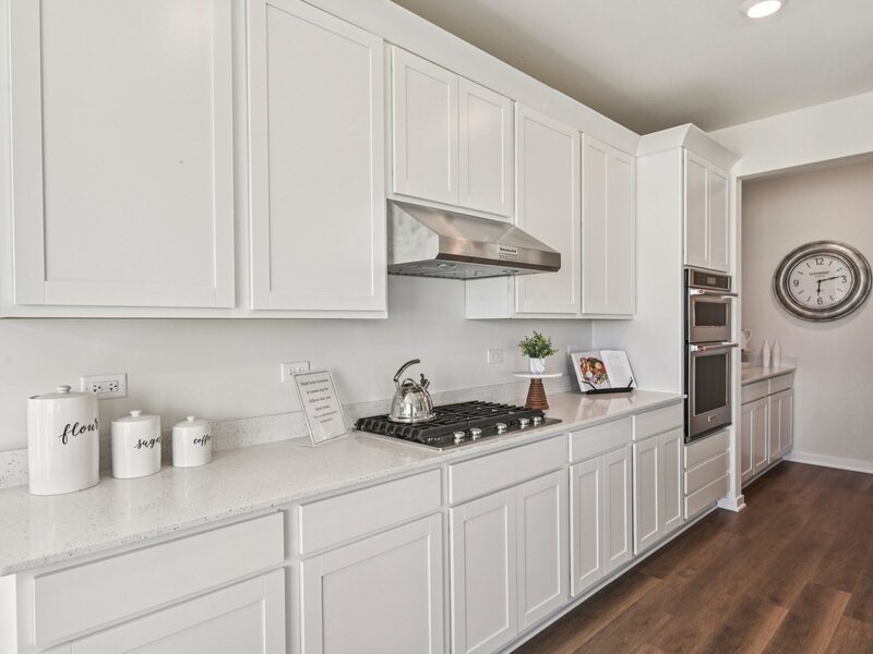 292 Snowdrop Lane Elgin IL 60124