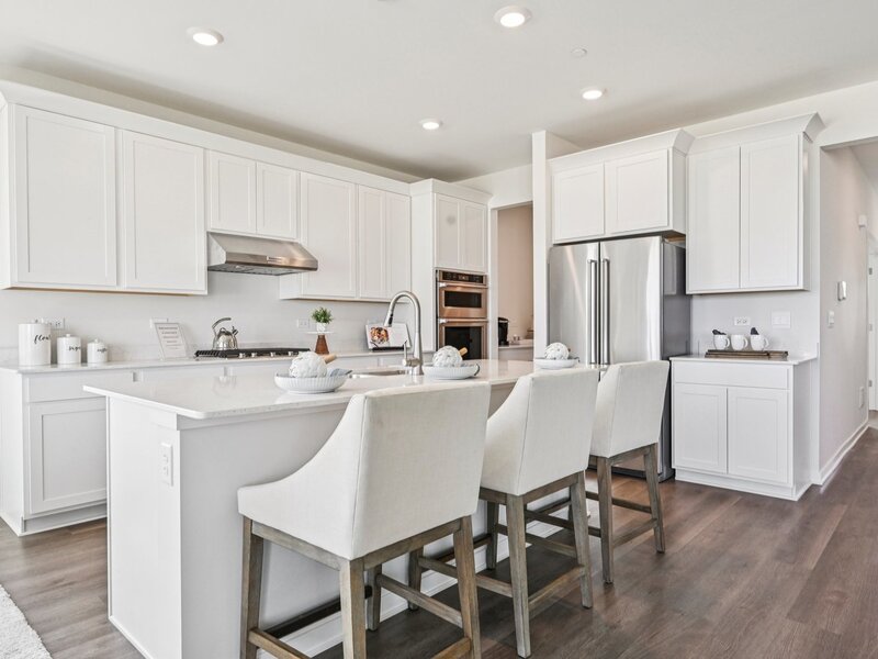 292 Snowdrop Lane Elgin IL 60124