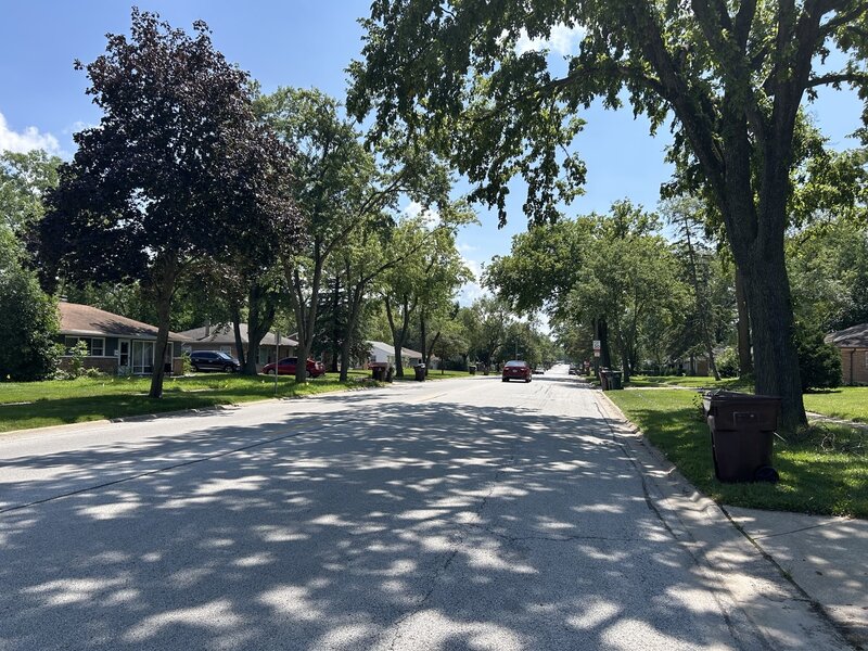 363 Blackhawk Drive Park Forest IL 60466