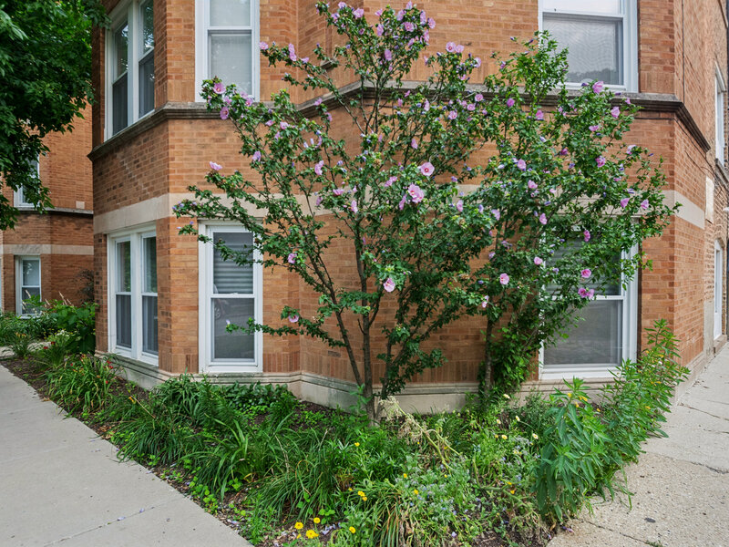 2917 W Leland Avenue Chicago IL 60625