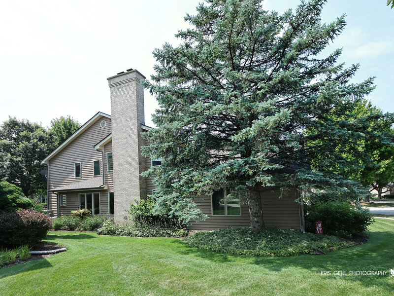 2727 Downing Court Aurora IL 60502