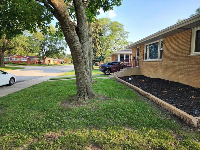 16254 S Dobson Avenue South Holland IL 60473