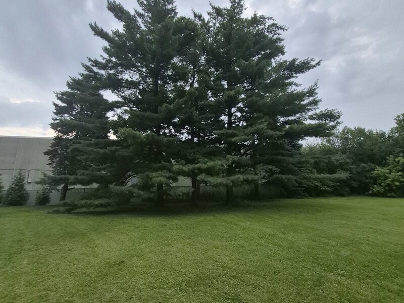 7 Linden Avenue Medinah IL 60157