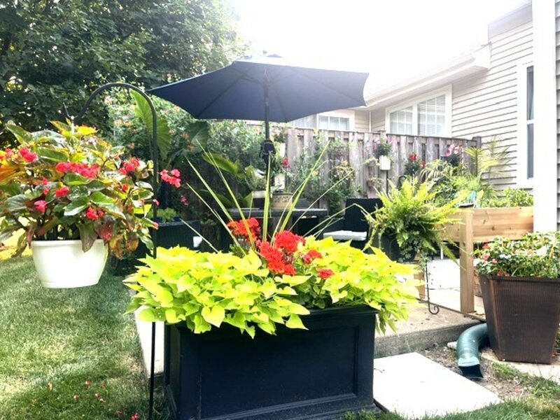 301 W Eagle Court Waukegan IL 60087