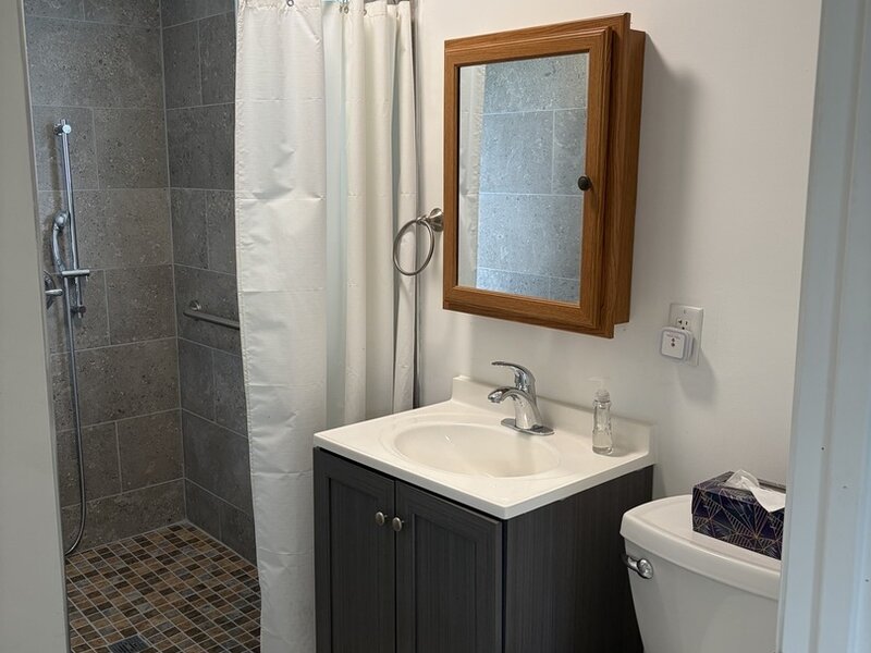 423 W Minnesota Street Spring Valley IL 61362